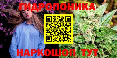 дмт Свободный