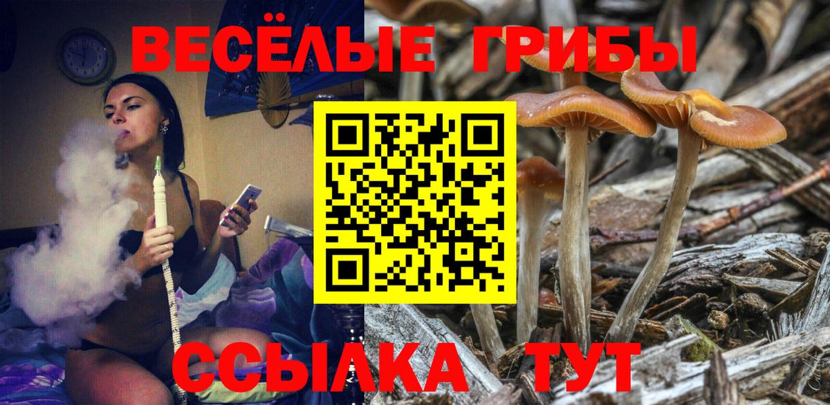 Галлюциногенные грибы Cubensis  Вход с VPN  Ревда  купить закладку  Псилоцибиновые грибы MAGIC MUSHROOMS 