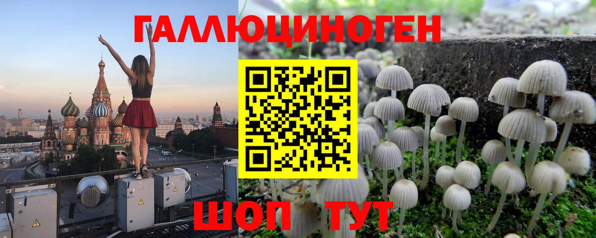 Галлюциногенные грибы мухоморы Ревда